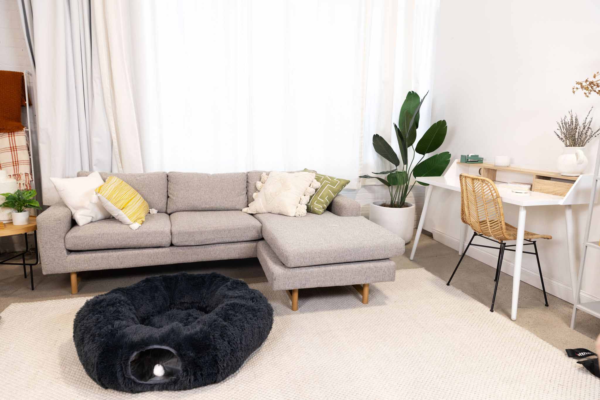 a living room scene